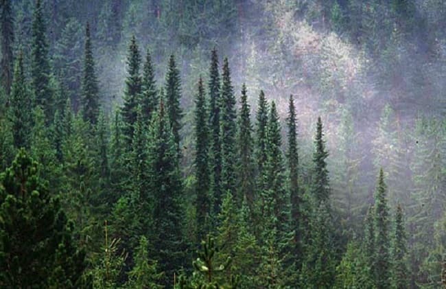 image-gallery-item