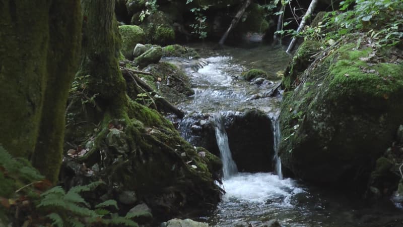 image-gallery-item