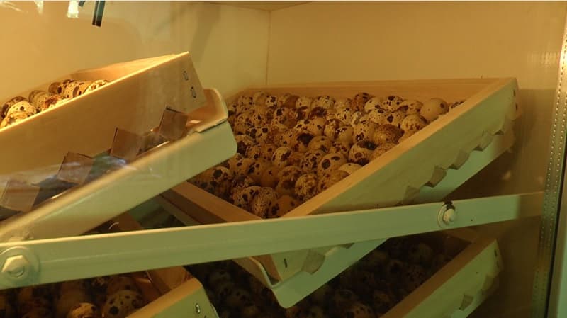 image-gallery-item