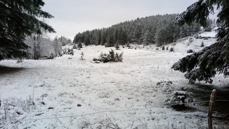 image-gallery-item