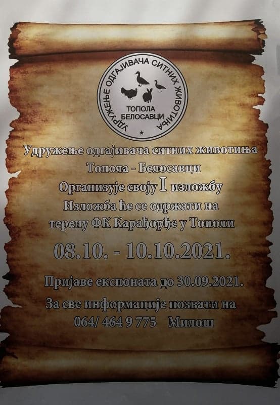 image-gallery-item