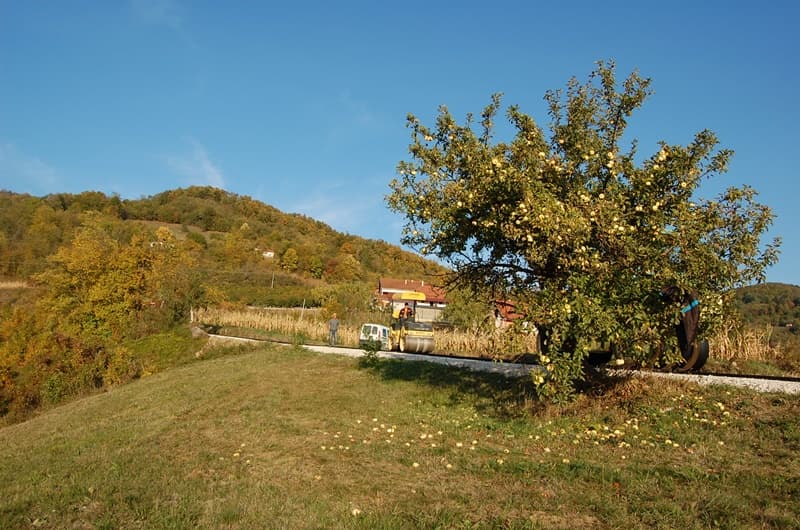image-gallery-item