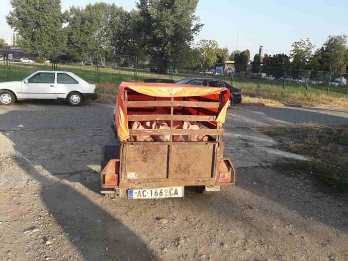 image-gallery-item