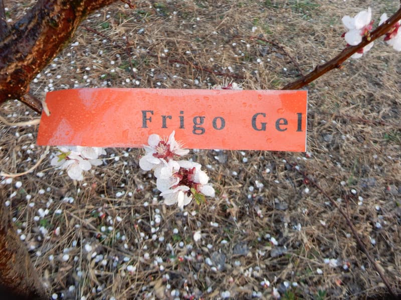 image-gallery-item