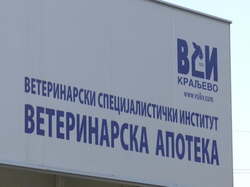 image-gallery-item