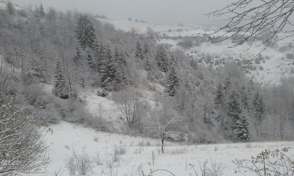 image-gallery-item