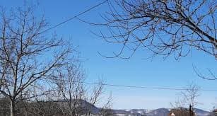 image-gallery-item