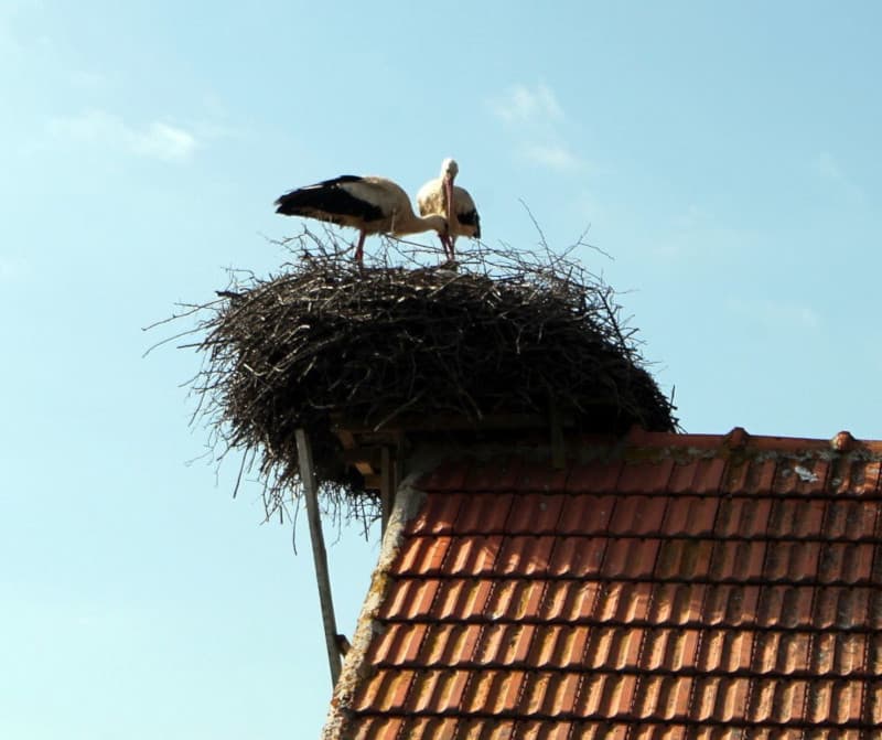 image-gallery-item