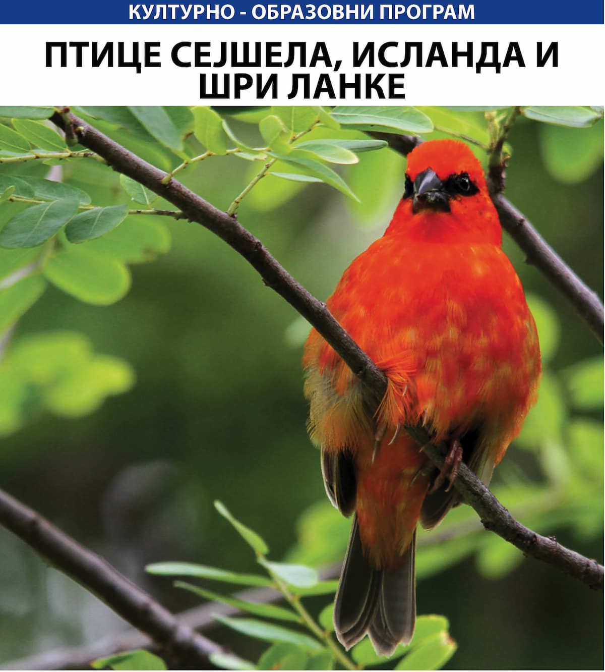 image-gallery-item