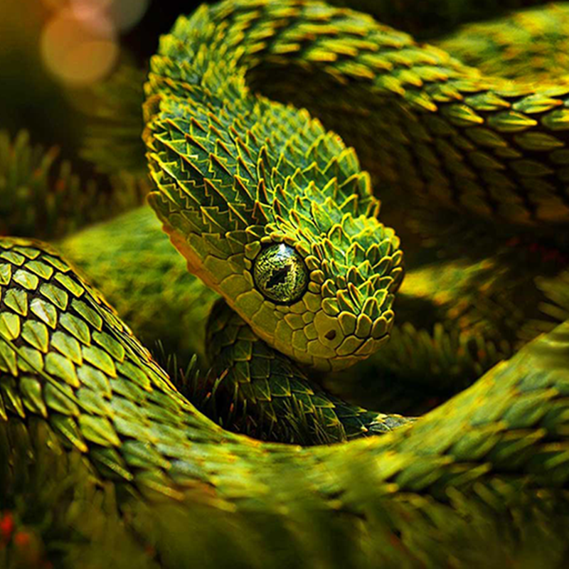 image-gallery-item
