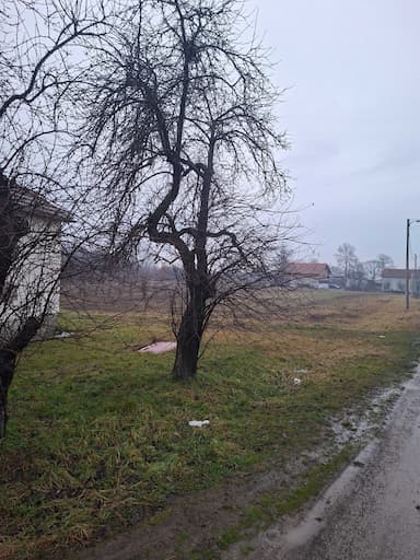 oglas-slika