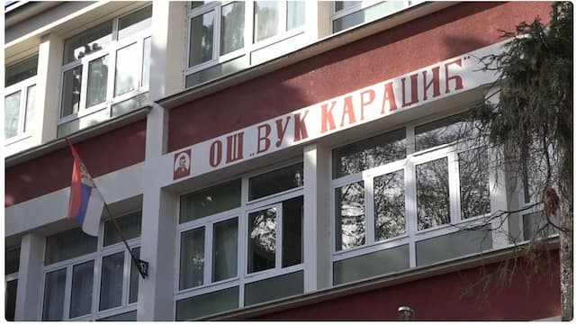 OŠ „Vuk Karadžić”, foto: printscreen