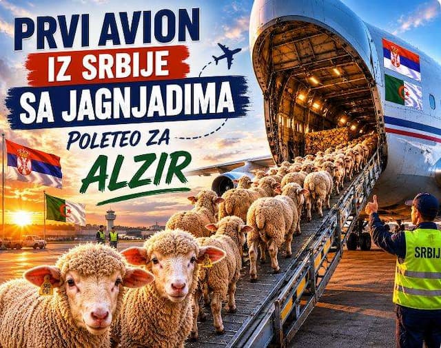 Foto: Ilustracija
