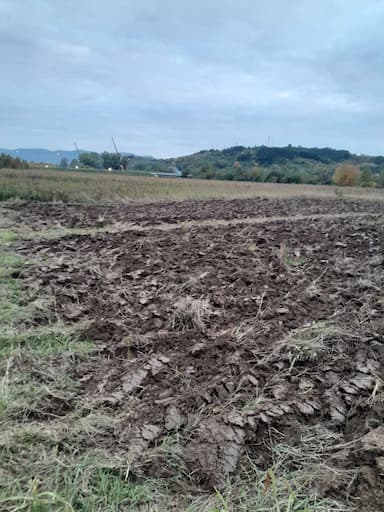 oglas-slika
