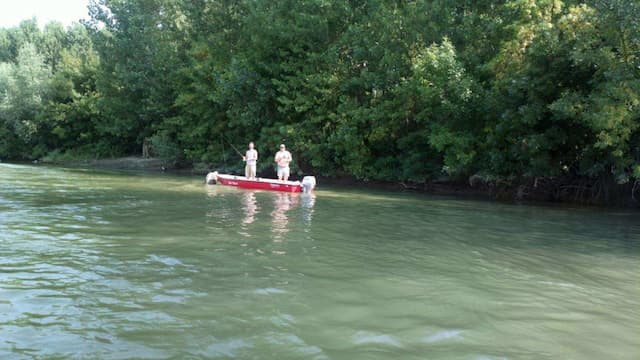Foto: „Srbijašume”