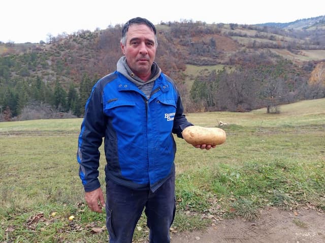 Zoran Drndarević izvadio krompir od skoro dva kilograma, foto: GZS