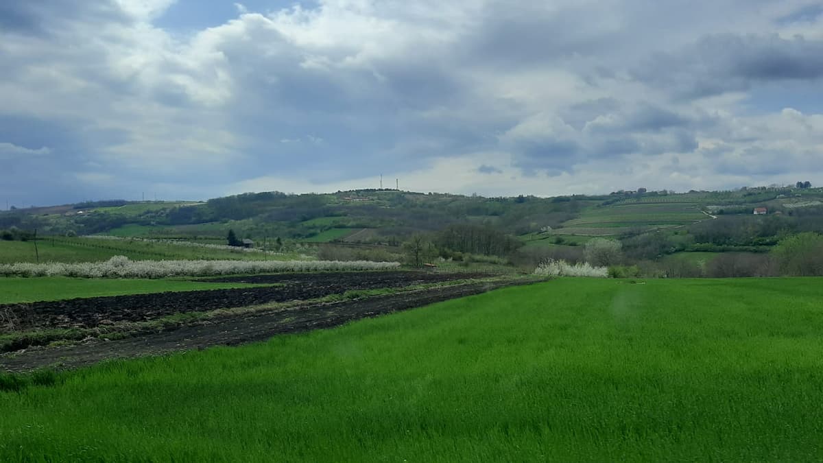 image-gallery-item