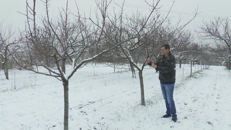 image-gallery-item