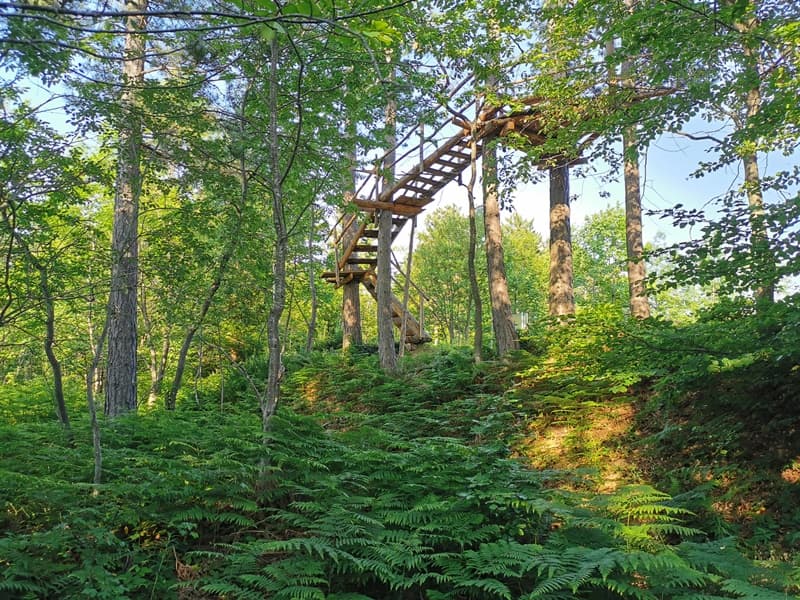 image-gallery-item