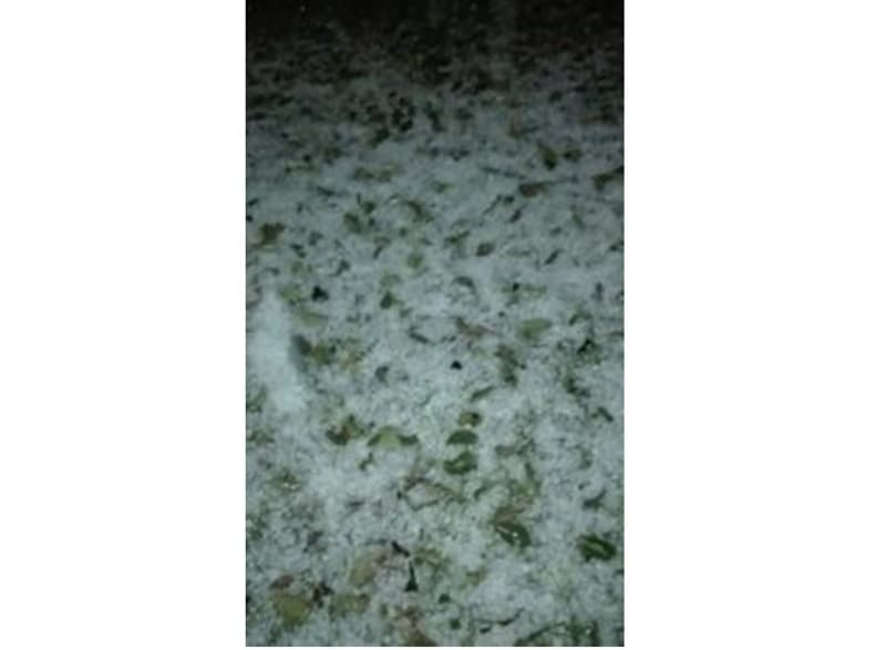 image-gallery-item
