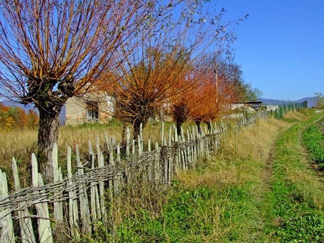 image-gallery-item