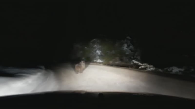 image-gallery-item