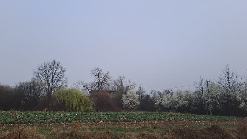 image-gallery-item