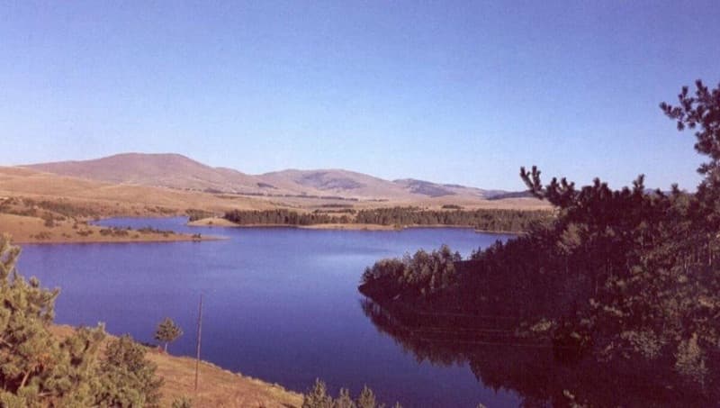 image-gallery-item