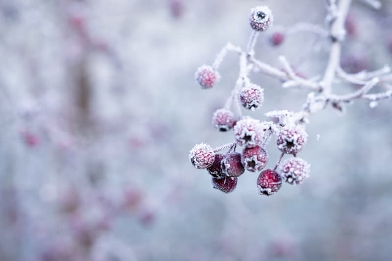 image-gallery-item