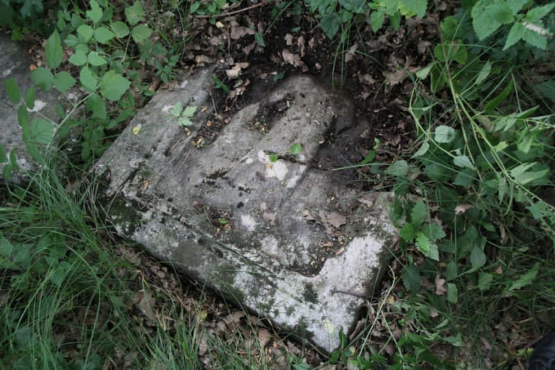 image-gallery-item