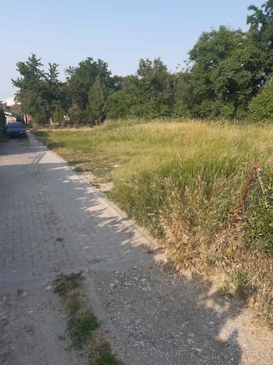 oglas-slika