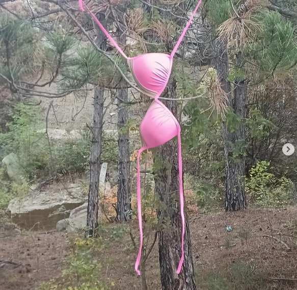 Foto: printscreen društvene mreže