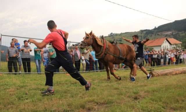 Foto: TO Zlatibor