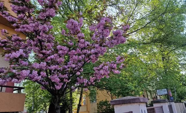 Ilustracija, foto: GZS