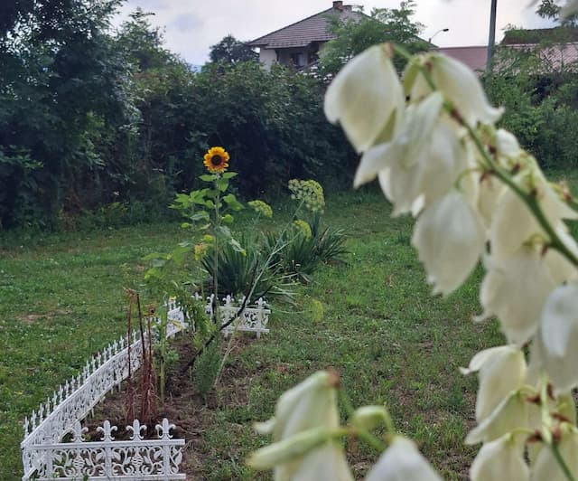 Foto: GZS/ Milena Sokić