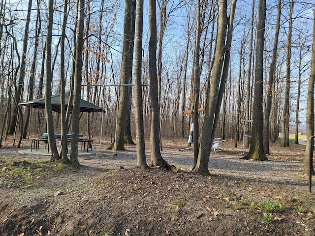 Foto: GZS/ Milena Sokić