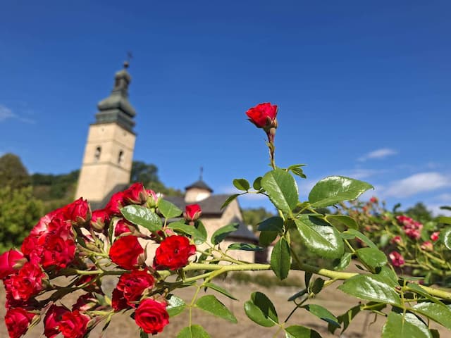 Manastir Ježevica, foto: GZS/ Milena Sokić