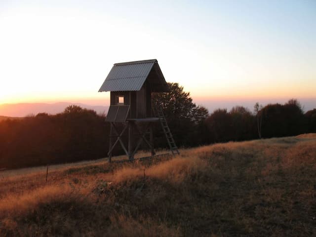 Foto: Srdjan Despot Blaf