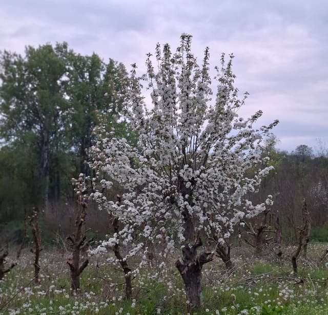 Foto: GZS/ Milena Sokić