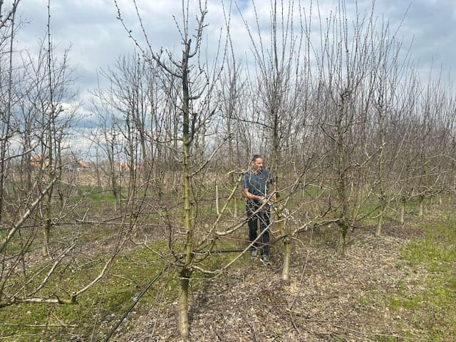 Pitali smo struku, hoće li voće u zapadnoj Srbiji konačno imati dobru godinu, foto: 4N Studio