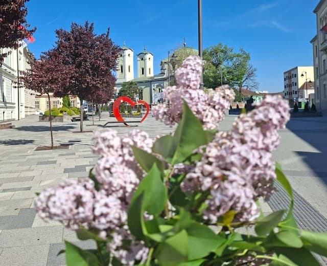 Foto: GZS/ Milena Sokić