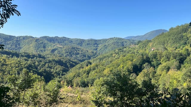 Foto:GZS, B.Lukić