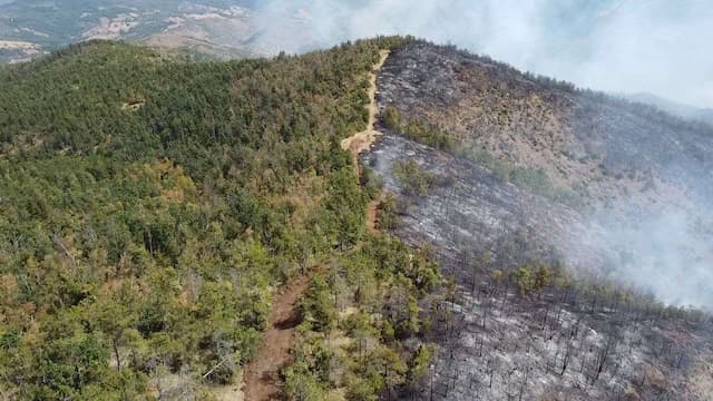Požar na granici Kraljeva i Lučana – foto: Branko Lukić /GZS